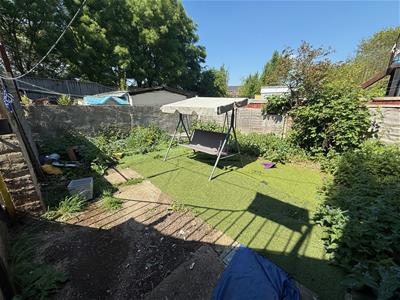 Picture 5